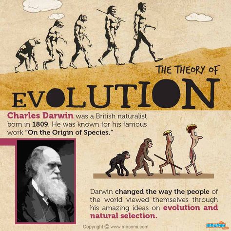 Darwin Day commemorates the birth of naturalists and geologist Charles Darwin in 1809. Social Darwinism Art, Human Evolution Poster, Human Evolution Tree, Charles Darwin Evolution, Evolution Theory, Darwin Evolution, Biology For Kids, Darwin's Theory Of Evolution, Darwin Theory