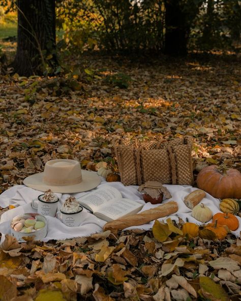 Fall wallpaper cozy picnic vibes · Free Stock Photo Coffee Picnic, Picnic In The Woods, Cozy Picnic, Pumpkin Reading, Picnic Scene, Autumn Picnic, Picnic Vibes, Fall Picnic, Fall Mood