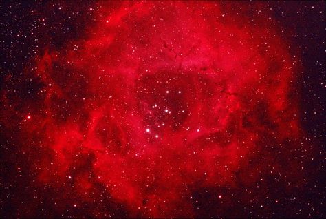 Nat Core, Cosmic Rose, Rosette Nebula, Red Space, Amateur Astronomy, Astronomy, Quran, Branding, Collage