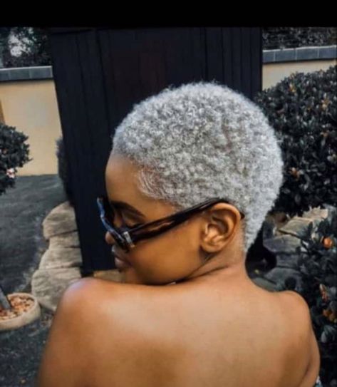 Silver Natural Hair Black Women, Short Hair Dye Black Women, Natural Grey Short Hair, Platinum Fade Haircut Black Women, White Dye On Short African Hair, Tinted Haircuts For Black Women, Silver Twa Natural Hair, Dyed Haircut Black Women, Dyed Short Hair For Black Women