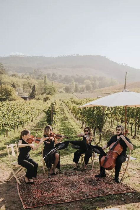 A Vineyard Wedding in Portugal With Musical Touches Wedding On Vineyard, Vineyard Spring Wedding, Wedding In A Vineyard, Intimate Vineyard Wedding, Vintage Vineyard Wedding, Winter Vineyard Wedding, Small Vineyard Wedding, Vineyard Wedding Aesthetic, Portugal In October