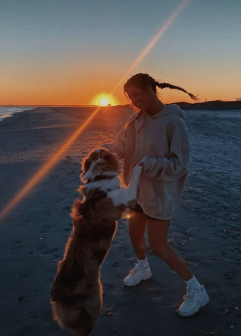 Beach Dog Photos, Salted Granola Aesthetic, Professional Dog Photography, Dogs Photoshoot, Mountain Cowgirl, Beach Life Style, Camping Goals, Puppy Photoshoot, Dog Photography Poses