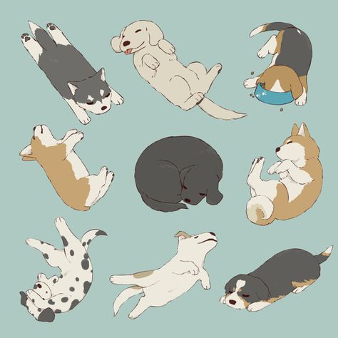 Sleeping Drawing, Sun Projects, Daisy Dog, Sleeping Animals, 강아지 그림, Cute Paintings, Dog Illustration, Sleeping Dogs, Dog Drawing