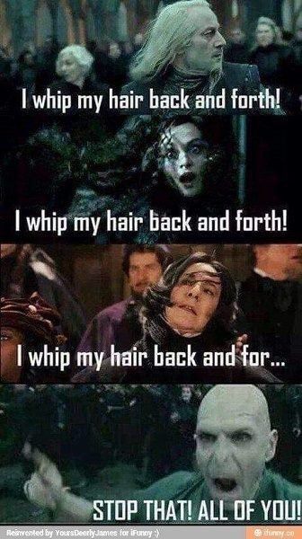 Harry Potter Humor, Harry Potter Funny Pictures, Classe Harry Potter, Glume Harry Potter, Funny Harry Potter Jokes, Harry Potter Memes Hilarious, Harry Potter Feels, Harry Potter Puns, Harry Potter Images