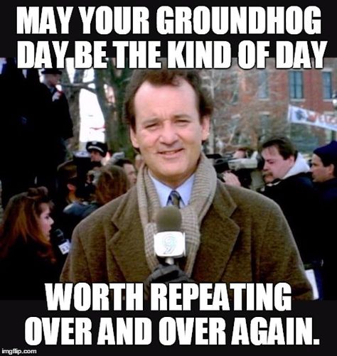 Groundhog Day Movie, Happy Birthday Memes, Grumpy Cat Christmas, Crop Insurance, Happy Groundhog Day, Birthday Memes, Happy Birthday Meme, Movie Memes, Movie Quotes Funny