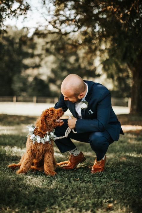 Best pup! #bestman #weddingdogideas #weddingdog #wedding #mrandmrs #husbandandwife #ido #dogs #dogdad #flowerdog #dogofhonor #goldendoodle Katelyn king photography Goldendoodle Wedding, Dog Wedding Photos, Dog Wedding Outfits, Wedding Outfit For Boys, King Photography, Wedding Pets, Man And Dog, Wedding 2024, Dog Flower