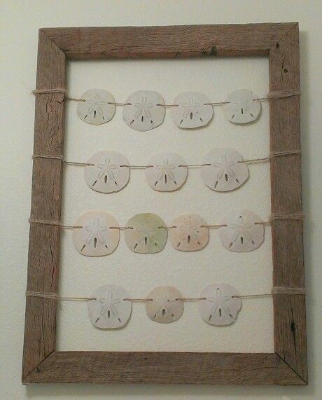 Sand Dollar Wall Hanging, Sand Dollar Home Decor, Sanddollar Crafts Home Decor, Sand Dollar Decorating Ideas, Craft With Sand Dollars, Crafts To Do With Sand Dollars, Diy Sand Dollar Decor, Ways To Display Sand Dollars, Sand Dollar Wall Art