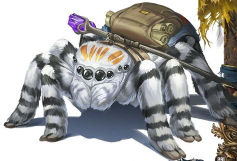 D D Races, Jumping Spiders, Pathfinder 2e, Dragons 5e, Dungeons And Dragons 5e, Giant Spider, Spider Art, Jumping Spider, Fantasy Creatures Art