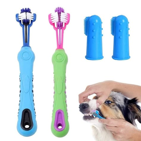 Brushing Dogs Teeth, Dog Skin Care, Finger Toothbrush, Dental Treats, Hairstyles Older Women, Dog Toothbrush, Led Dog Collar, Dog Teeth Cleaning, Women Hairstyles Long