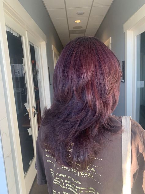 Hair Color On Dark Hair, Wolf Cut Hair Dye Ideas, Shag Dyed Hair, Purple Long Hair, Purple Wine Hair, Purple Wolfcut, Mid Wolf Cut, Violet Hair With Highlights, Soft Wolf Cut Hair Medium