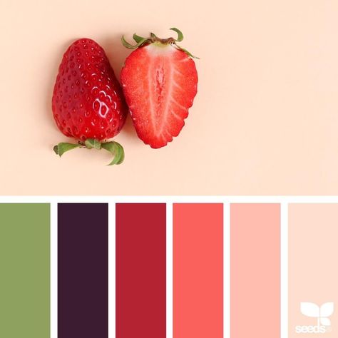 today's inspiration image for { fresh hues } is by @georgina.ambruska ... thank you, Gina, for another wonderful #SeedsColor image share! Color Schemes Design, Seeds Color, Hue Color, Living Room Color Schemes, Grey Color Scheme, Design Seeds, Color Harmony, Colour Field, World Of Color