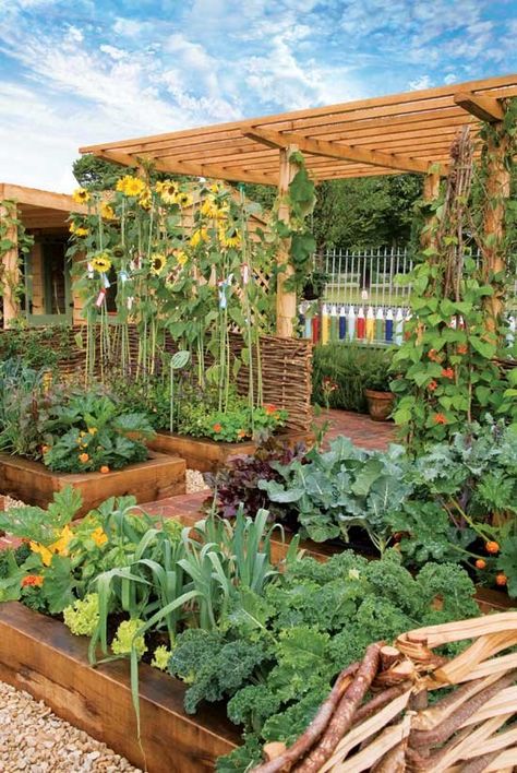 10 Beautiful Ornamental Vegetable Gardening Ideas — Steemit Shed Inspiration, Biointensive Gardening, Vegetable Garden Beds, Raised Vegetable Gardens, Vegetable Garden Raised Beds, Plants Growing, Backyard Vegetable Gardens, Garden Types, Have Inspiration