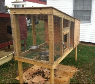 Raised Dog Kennel, Dog Kennel Flooring, Dog Kennel And Run, Dog Breeding Kennels, Dumbest People, Cheap Dog Kennels, Dog Kennel Ideas, Dog Backyard, Rabbit Hunting