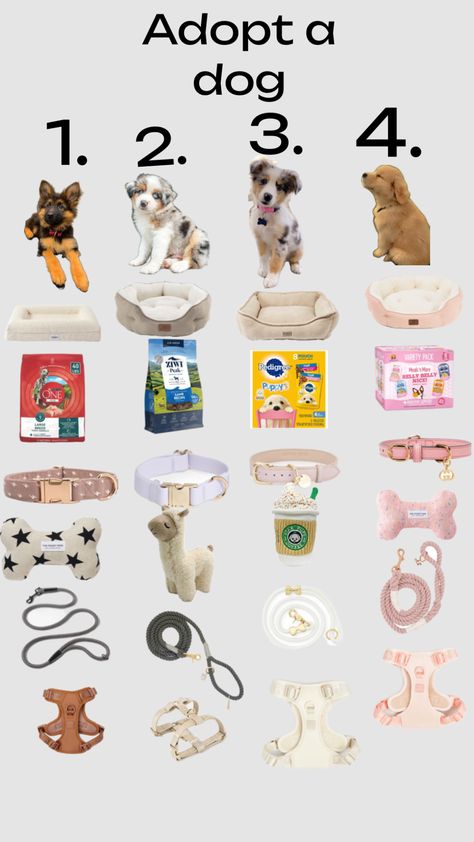 Fun Sleepover Activities, Dog Lab, Puppy Items, Dog Room Decor, New Puppy Checklist, Puppy Checklist, Pet Treats Recipes, Very Cute Puppies, Halloween Baskets