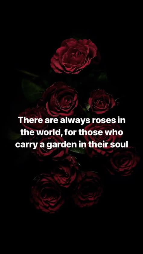 Poems With Roses, Quote Rose Flowers, Rose Flower Quotes Short Beautiful, Red Roses Quotes Beauty, Roses Quotes Aesthetic, Rose Quotes Poetry, Rose Quotes Inspirational Short, Red Roses Quotes, Rose Flower Quotes