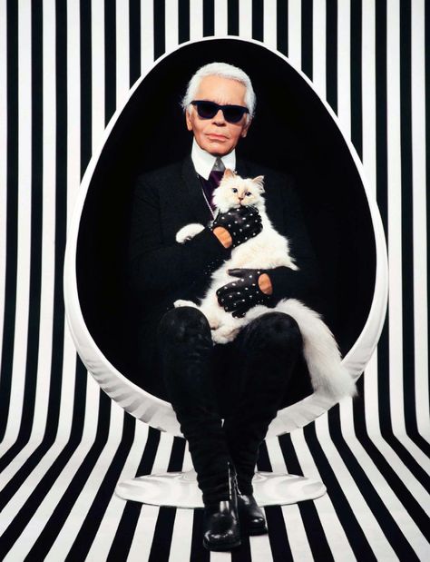 karl who? Choupette Lagerfeld, Flying Cat, Hermann Hesse, Cat Books, Pictures Of The Week, Private Life, Fashion Books, Cat Lover Gifts, Cat Gifts