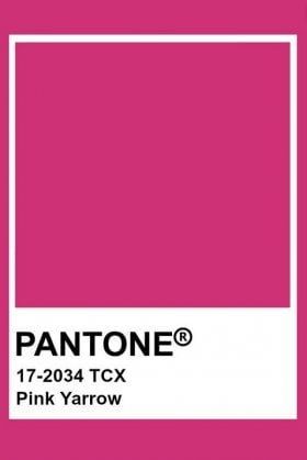 Pantone Tcx, Pink Yarrow, Pantone Swatches, Pantone 2020, Pantone Palette, Pantone Colour Palettes, Pantone Colors, Christmas Fonts, Colour Board