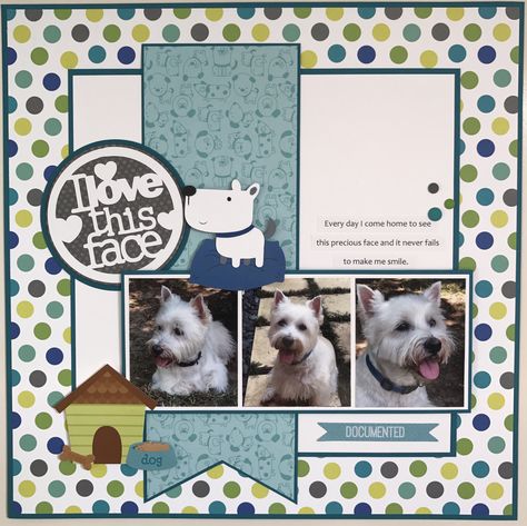 I love this face - Scrapbook.com Scrapbooking Pets, Dog Scrapbook Layouts, Pet Scrapbook Layouts, Dog Scrapbook, Scrapbook Design Layout, Pet Scrapbook, Box Photo, Scrapbook Layout Sketches, Family Scrapbook