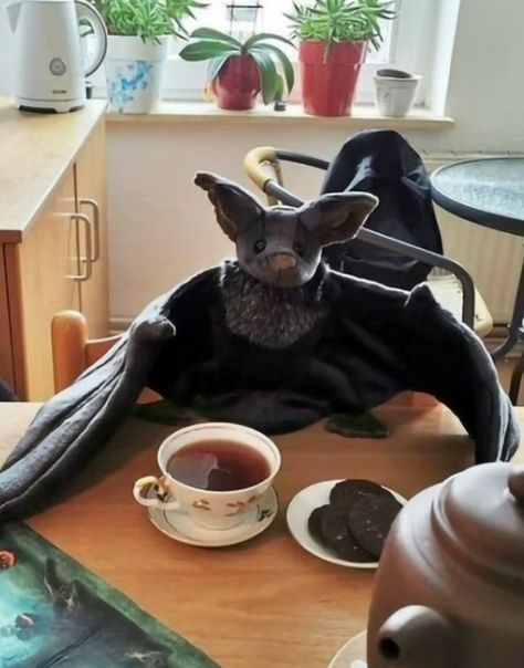 Transylvania Castle, Bat Stuffed Animal, Bat Plush, Stuff Toy, Bat Animal, Halloween Bat Decorations, Toddler Girl Toys, Halloween Plush, Dolls And Dollhouses