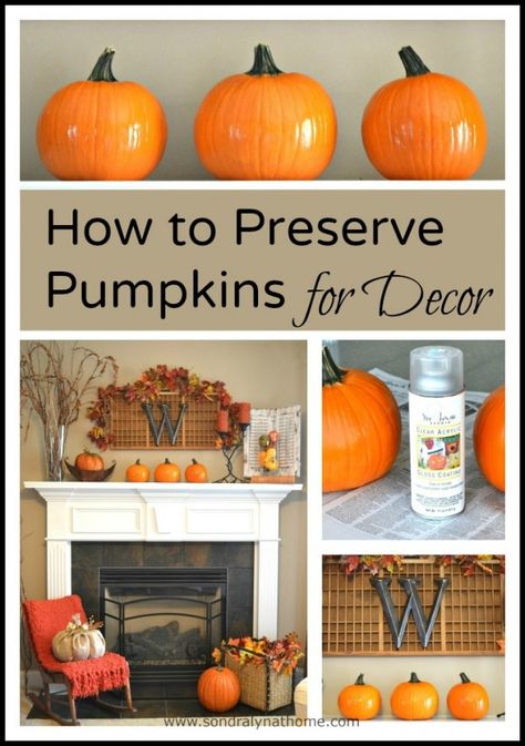 You can help your Fall decor last longer by using this one hint on pumpkins and gourds! How to preserve pumpkins! How To Preserve Pumpkins, Sisters Cartoon, Preserve Pumpkins, Preserving Pumpkins, Easy Diy Fall Decor, Fall Dec, Easy Fall Wreaths, Fall Deco, Pumpkin Fall Decor