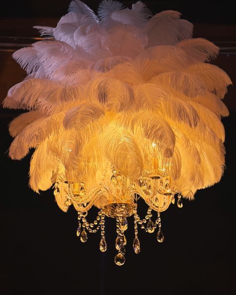 Transform your event into a breathtaking experience with our luxurious ostrich feather chandeliers. ✨ Crafted to captivate and enchant, this statement piece brings elegance and sophistication to any occasion, creating an unforgettable atmosphere. • • • #feathercenterpieces #ostrichfeathers #ostrichfeathercenterpieces #ostrichfeatherchandelier #greatgatsbyparty #greatgatsbytheme #greatgatsbywedding #rentfeathers #weddinginspiration #weddingdecor #weddingideas #featherdecor Ostrich Feather Centerpieces, Feather Chandelier, Great Gatsby Theme, Feather Centerpieces, Great Gatsby Party, Great Gatsby Wedding, Feather Decor, Ostrich Feathers, Statement Pieces