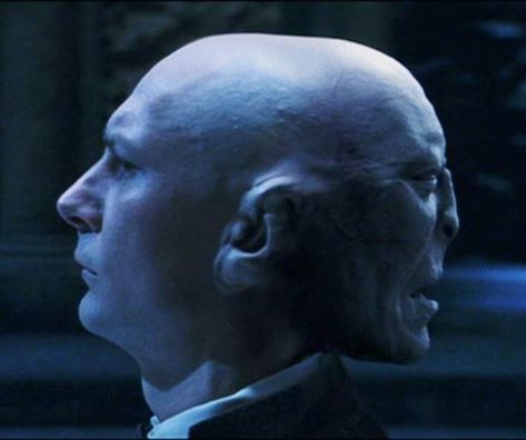 Professor Quirrell/Voldemort Professor Quirrell, Ancient Egypt Pyramids, Harry Potter Professors, Harry Potter Voldemort, Movie Humor, Back Of Head, Philosophers Stone, The Sorcerer's Stone, Hogwarts Aesthetic