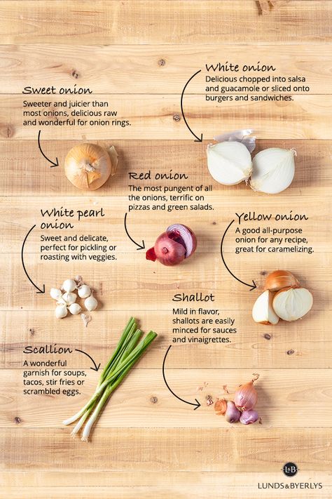 Culinary Techniques, Food Infographic, Cooking Guide, Food Info, Cooking Basics, Cooking Ingredients, Food Facts, Cooking Skills, Sweet Onion