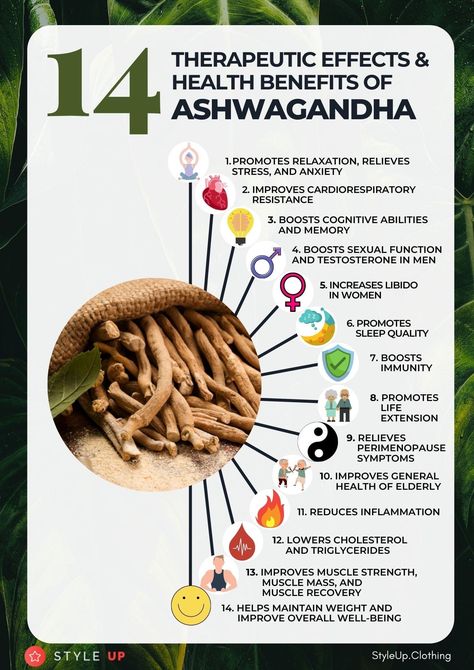 Benefits Of Ashwagandha, Ashwagandha Benefits, Hormonal Imbalances, Ayurveda Life, Ayurvedic Healing, Ashwagandha Root, Male Fertility, Natural Health Care, Maintain Weight