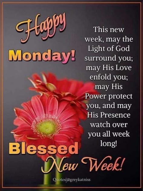 Happy Monday. This new week, may the light of God surround you. Happy Blessed Monday, Morning Quotes Monday, Monday Morning Greetings, Happy Monday Pictures, Blessed Monday, Monday Wishes, Monday Pictures, Happy Monday Morning, Monday Morning Quotes