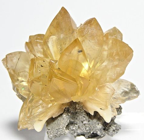 Honey Yellow Calcite Crystals Rucks Pit Florida Natural Mineral Specimen Magic Faraway Tree, The Magic Faraway Tree, Faraway Tree, Yellow Crystals, Honey Yellow, Yellow Calcite, Pretty Rocks, Crystal Magic, Beautiful Rocks