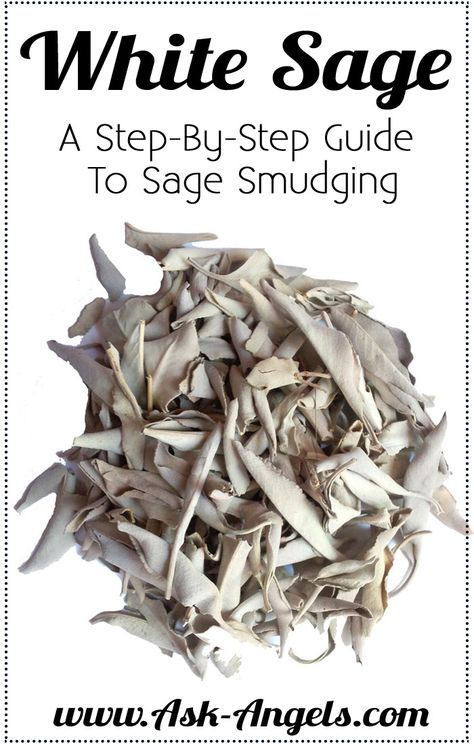 White Sage Smudging Sage Uses, Smudging Prayer, Burning Sage, Sage Smudging, White Sage Smudge, Sage Essential Oil, Energy Clearing, Sage Leaves, Spiritual Cleansing