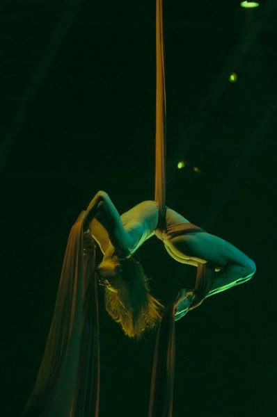 Circus Aesthetic, Book Of Circus, The Illusionist, Dark Circus, Night Circus, Aerial Arts, Aerial Hoop, Aerial Silks, Character Aesthetic