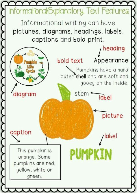 Informational Poster, Teaching Informational Text, Pumpkin Unit, Informative Writing, Second Grade Writing, Fall Writing, 3rd Grade Writing, 2nd Grade Writing, 1st Grade Writing