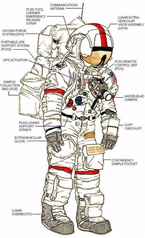 This Caught My Eye: Photo Apollo Space Suit, Space Suit Drawing, Ekko League Of Legends, Astronaut Space Suit, Sif Dark Souls, Suit Drawing, Astronaut Suit, Space Suits, Apollo Missions