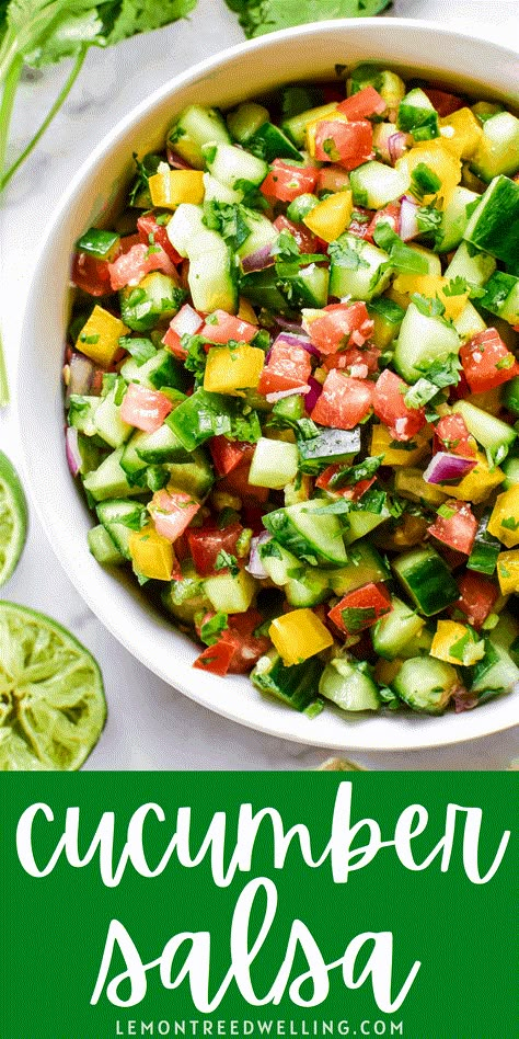 Salsa Dishes, Cucumber Salsa Recipe, Lite Meals, Tailgate Recipes, Fresh Herb Recipes, Tomato Salsa Recipe, Cucumber Salsa, Fresh Tomato Recipes, Salsa Recipes