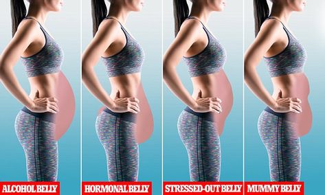 From hormonal to alcohol belly, what each stomach  type looks like | Daily Mail Online Alcohol Belly, Belly Apron, Types Of Belly Fat, Muscle Abdominal, Belly Pooch, Bloated Stomach, Bloated Belly, Belly Fat Diet, Lower Belly Fat