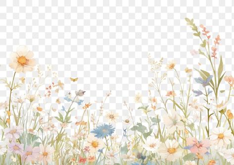 Meadow Illustration, Wildflower Border, Floral Meadow, Minimalistic Art, Delicate Watercolor, Border Png, Wildflower Wedding, Wedding Art, Watercolor Floral