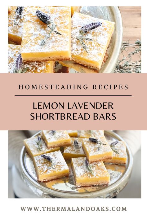 Sourdough Lemon Bars, Lavender Lemon Bars Recipe, Easy Sourdough Lemon Bars, Lemon Blueberry Shortbread Bars, Lavender Dessert Recipes, Lavender Lemon Bars, Spell Recipes, Baking Necessities, Lavender Dessert