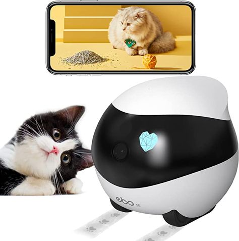 Amazon.com : Enabot Ebo SE Movable Smart Pet Dog Camera Robot, Wireless Auto-Cruise Self-charging 1080P HD w/Night Vision 2-Way Audio APP Remote Control Motion Detection IP Cam Home Camera 2.4G/5G Wifi : Electronics Dog Camera, Pet Cam, Pet Camera, Indoor Pets, Home Camera, Security Cameras For Home, Video Capture, Baby Monitor, Card Storage