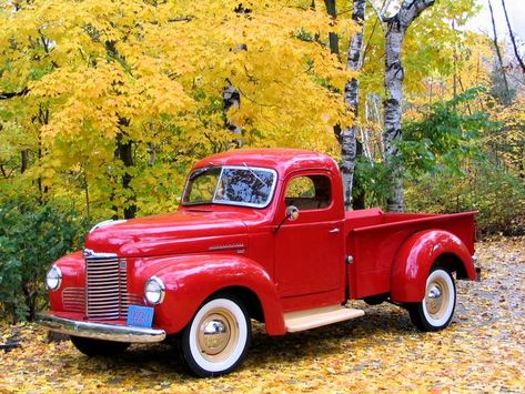 Old Red Truck, Mermaid Sketch, Studebaker Trucks, Pickup Car, Vintage Pickup, Vintage Pickup Trucks, Pick Up Trucks, Old Pickup Trucks, Antique Trucks