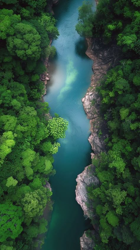 River Birds Eye View, Paddington Poster, Background Mobile, Green Inspiration, Iphone Lockscreen Wallpaper, Nice Pic, Green Bird, Nature View, Amazing Nature Photos