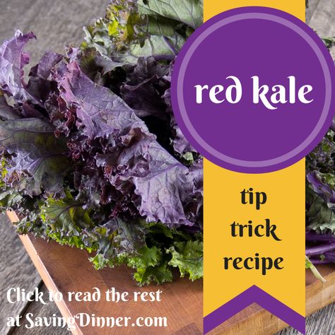 Our Weekly TIP, TRICK and RECIPE! This week focused on Red Kale! PIN to SAVE!  Click through to read the recipe. Red Kale, Kale Soup, Salad Dishes, Soup Crocks, Caraway Seeds, Joy Of Cooking, Chicken Stew, Vegetable Salad, Delicious Soup