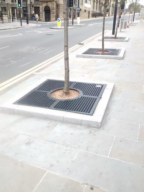 Tree Grate, Commercial Landscape Design, Streetscape Design, Paving Design, Urban Tree, Landscape Architecture Drawing, Urban Furniture, Landscape Architects, Urban Architecture