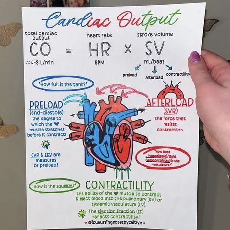 CardioVisual: Heart Health App on Instagram: "Cardiac output is a term that you often hear in the cardiac ICU, but what exactly is it & why do we measure it? Learn from this creative  cheat sheet by @icunursingnotesbycaitlyn to find out! . . Do follow @cardiovisual for more cardiology related posts #nurse #registerednurse #nursingstudent #nursingschool #nurselife #scrublife #rnfa #nursepractitioner #crna #srna #studentnursepractitioner #cns #clinicalnursingspecialist #fnp #familynursepractition Systemic Circulation, Cath Lab Nursing, Cardiac Output, Vet Nursing, Emt Study, Paramedic School, Nurse Study, Nursing School Essential, Nursing School Motivation