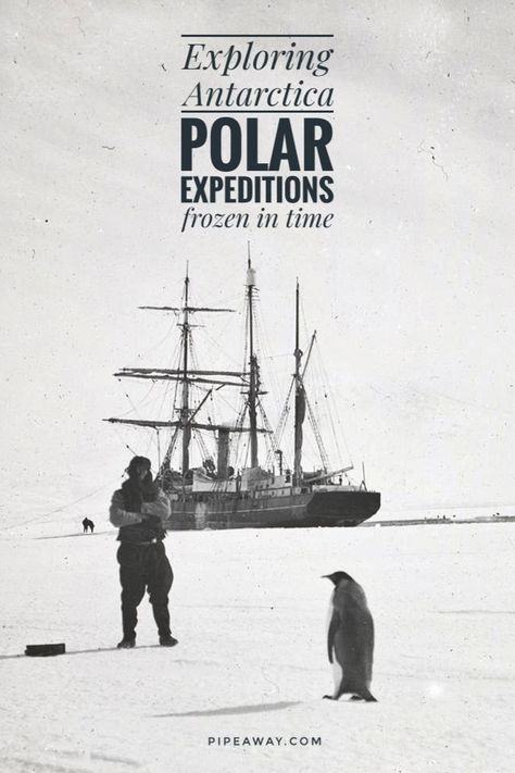 Exploring Antarctica: Penguins, Seals and Heroes Frozen in Time Sea Elephant, Roald Amundsen, Maps Aesthetic, Arctic Explorers, Heroic Age, Adelie Penguin, Inktober 2024, White Desert, Cold Blooded