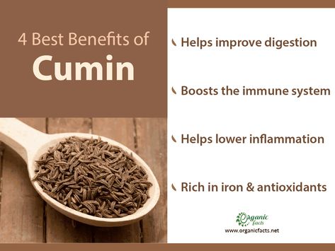 Cumin Seeds Benefits, Benefits Of Cumin, Cumin Plant, Cumin Benefits, Health Benefits Of Cumin, Seeds Benefits, Healing Foods, Boost Immunity, Cumin Seeds