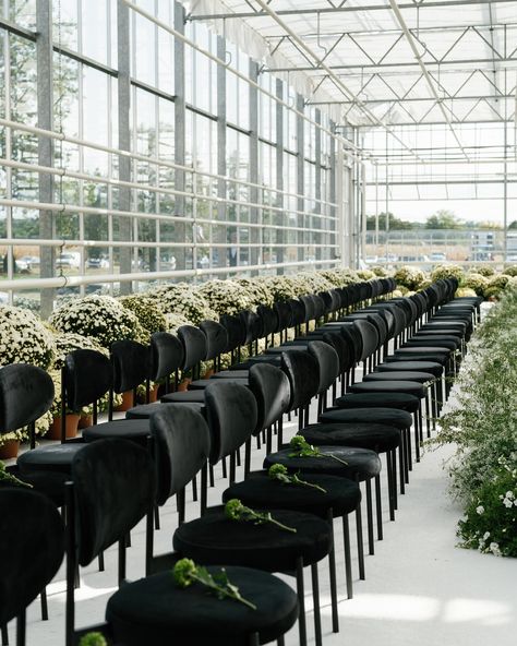 A Greenhouse Ceremony Dream 😍 This was such an incredible joy to design and produce. We couldn’t have done it without @lennonfarmgreenhouses and all the vendors on our team. 2700 pots of mums grown for this gorgeous wedding and we used every single one! Planning/Design: @house_of_catherine Venue: @lennonfarmgreenhouses Catering: @garcesevents Photography: @abbyjiu Filmography: @bayellefilms Floral Artistry: @freshdesignsflorist Lighting + Production: @onqproductions Flooring + Production:... Greenhouse Ceremony, Greenhouse Wedding Ceremony, Greenhouse Wedding, Fresh Design, Plan Design, Design House, Gorgeous Wedding, Garden Wedding, Wedding Ceremony