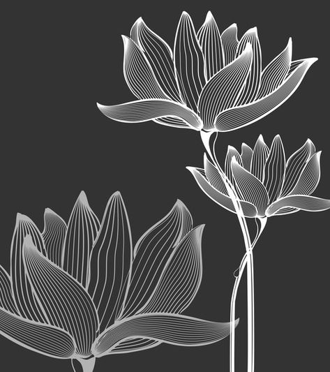 Free Vector | Monochrome flowers Lotus Flower Drawing, Lotus Flower Logo, Wallpaper Flowers, Illustration Botanique, Sgraffito, Flower Backgrounds, Colorful Drawings, Botanical Illustration, Fabric Painting