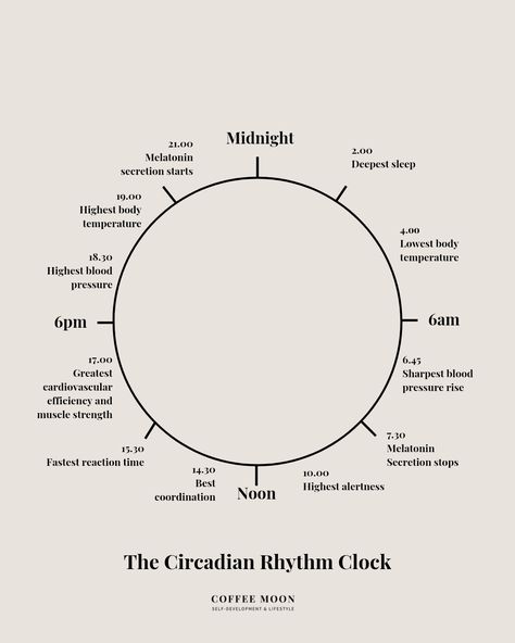 How To Reset Your Circadian Rhythm To Boost Happiness — Coffee Moon | For Women Who Want More | Self-Development Circadian Rhythm Chart, Chinese Body Clock, Body Clock, Lip Care Routine, Boost Your Mood, Circadian Rhythm, Holistic Living, Sleep Pattern, Lack Of Sleep