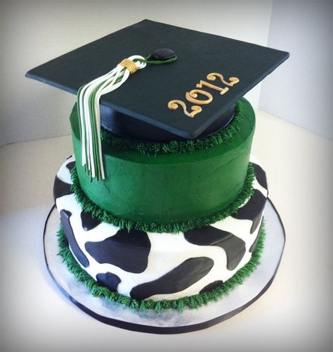 Western Graduation Cake Ideas, Western Graduation Cakes, Western Graduation, Graduation Diy Decorations, Country Cakes, High School Graduation Ideas, Country Graduation, College Graduation Cakes, School Graduation Ideas